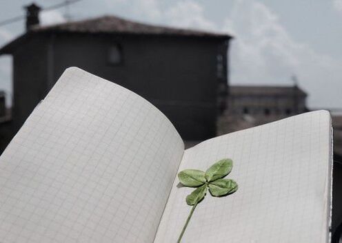 Four-leaf clover - a talisman for good luck