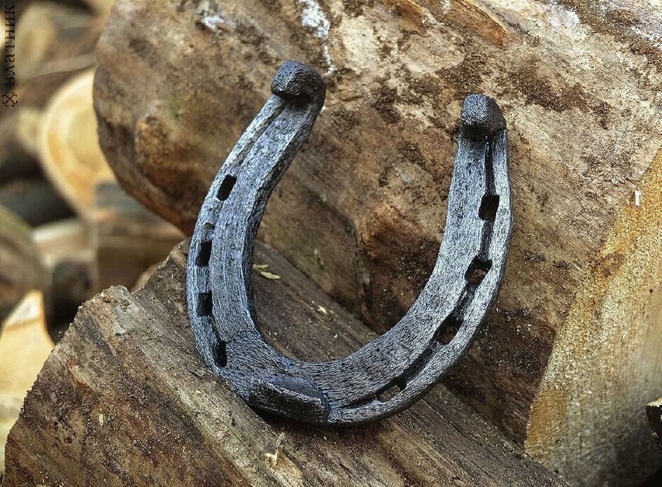 amulet fortunately - horseshoe