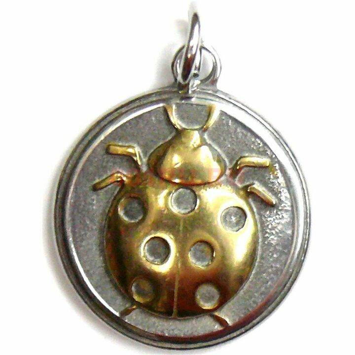 ladybug amulet - brings financial luck