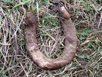 the horseshoe found will serve to make a talisman